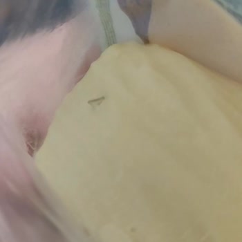 Harras Kaşar Peynirinde Tehlikeli Plastik Cisim