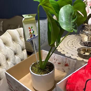 Yanlış Ürün Gönderimi Ve İlgisiz Müşteri Hizmetleri