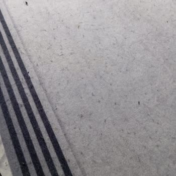 Tiftiklenen Halı Mağduriyeti