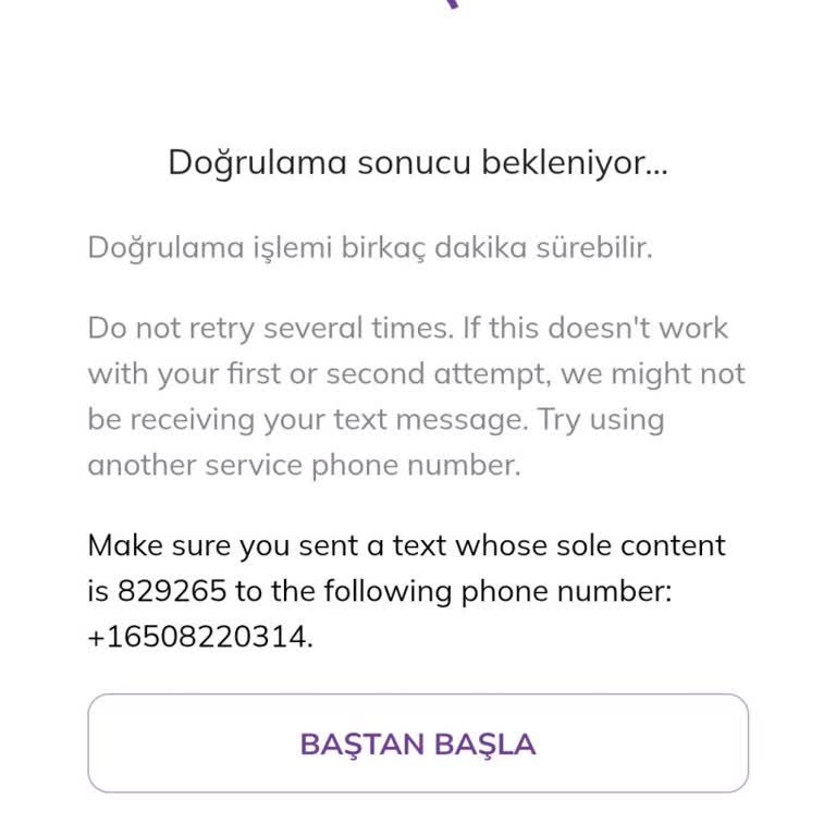 Pi Network Şifre Yenileme Ve Doğrulama Sorunu