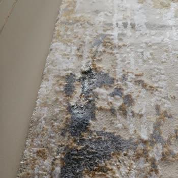 Kurumsal Halı Yıkama Hizmetinde Beklenmedik Hasar