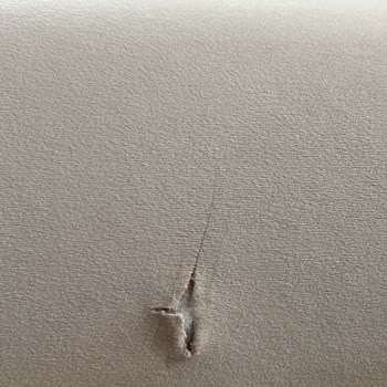 Ayıplı Ürün Ve Yetersiz Hizmet: Doğtaş'tan Beklenmedik Sorunlar