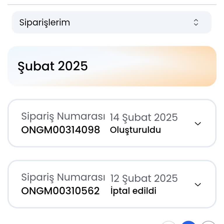 İade Sürecinde Gecikme Ve Bilgi Eksikliği