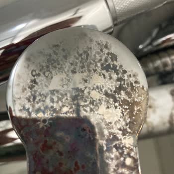 ECA Bataryalarının Küflenme Sorunu Ve Garanti Reddi