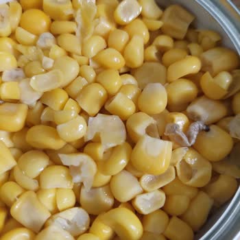 A101'den Aldığım Sütün İçinden Kurt Çıktı!