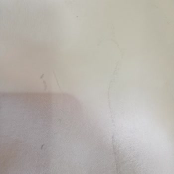 Elsatasarm Deri Montta 2 Haftada Lekelenme!