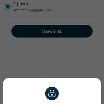 Şifre Değiştirememe Sorunu Ve E-posta Güncelleme Talebi