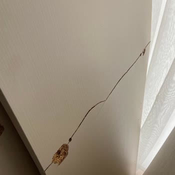 Vivense Yatak Odası Kurulumu Mağduriyeti