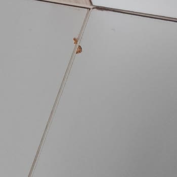 Macera Çocuk Odası Ürününde Defolu Teslimat Ve İlgisizlik