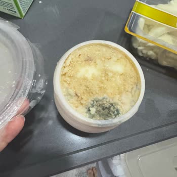 Küflü Tulum Peyniri Ve İlgisiz Müşteri Hizmetleri