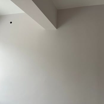 Marshall Boya Renk Fiyaskosu