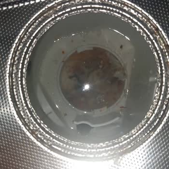 Vestel Bulaşık Makinesi Ve Servis Sorunu