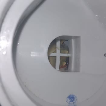 Vestel Bulaşık Makinesi Ve Servis Sorunu