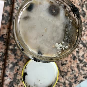 Bozuk Konserve Ürünler Ve Sürekli Yaşanan Mağduriyet