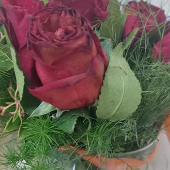 Çiçek Sepeti'nden Gelen Solmuş Güller