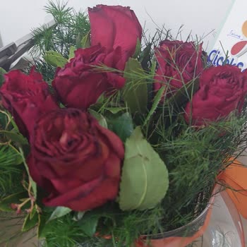 Çiçek Sepeti'nden Gelen Solmuş Güller