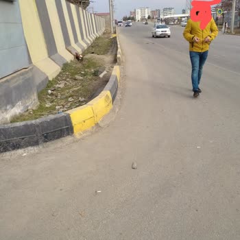 Ergani-TOKİ Arası Kaldırım Eksikliği Hayatları Tehlikeye Atıyor