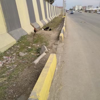 Ergani-TOKİ Arası Kaldırım Eksikliği Hayatları Tehlikeye Atıyor