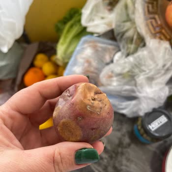 Bozuk Meyveler Ve Kötü Müşteri Hizmeti