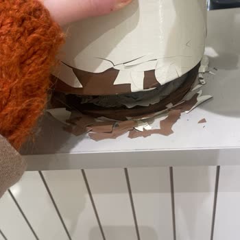 Kırık Saksıyla Gelen Hayal Kırıklığı