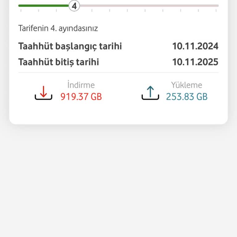 İnternet Hızı Ve Altyapı Sorunları