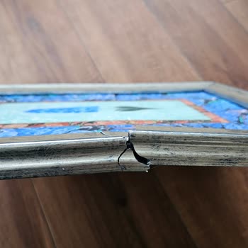 Kargo Hasarı ve Müşteri Şikayeti