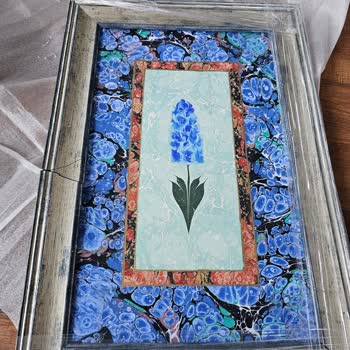 Kargo Hasarı ve Müşteri Şikayeti