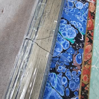 Kargo Hasarı ve Müşteri Şikayeti