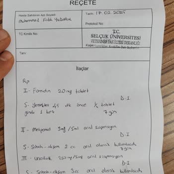 Kedimi Hasta Eden Mama Ve İlgisiz Müşteri Hizmetleri