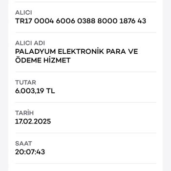 Para Transferinde Güven Sorunu