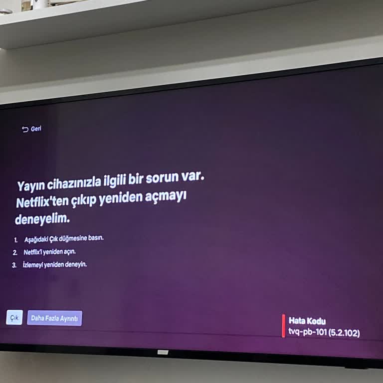 Philips Televizyonumda Netflix Erişim Sorunu
