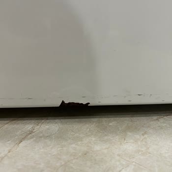 Beko Lavadora, problema de óxido, espero solución