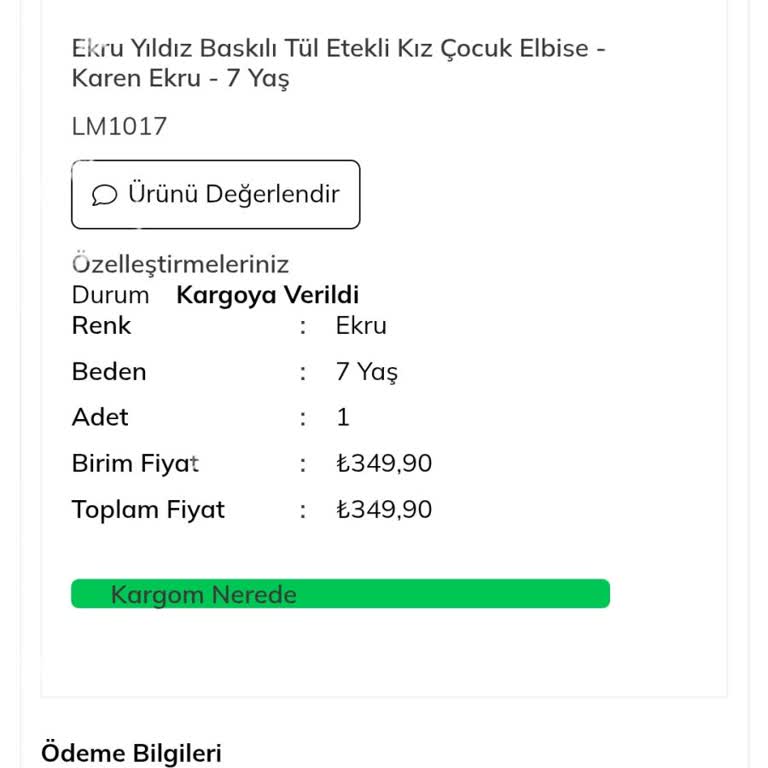 Yanlış Adres Nedeniyle İndirimli Ürünümü Kaybettim