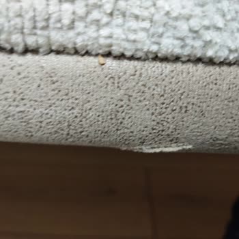 Koltuk Takımındaki Kesikler Ve İstikbal'in Sorumsuzluğu