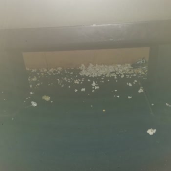 Site Sinemaları Pislik İçinde!