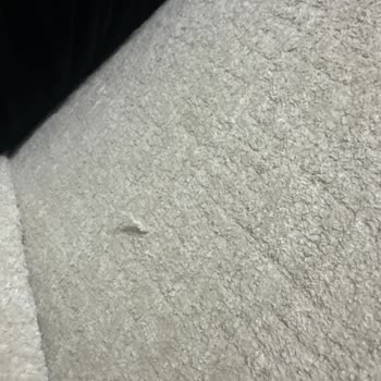 Mobilya Kalitesi Ve Müşteri Hizmetleri Sorunu