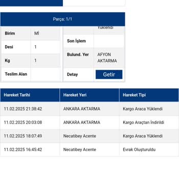 Sürat Kargo İle Kayıp Kargonun Peşinde