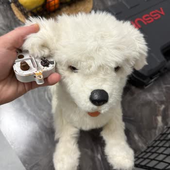 Joy Park Oyun Alanında Hijyen Sorunu Ve Hayal Kırıklığı