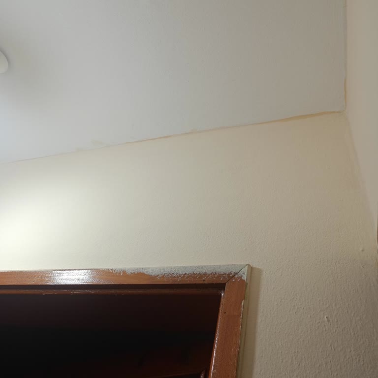 Beklenmedik Renk Sürprizi: Mahlep Rengi Hayal Kırıklığı