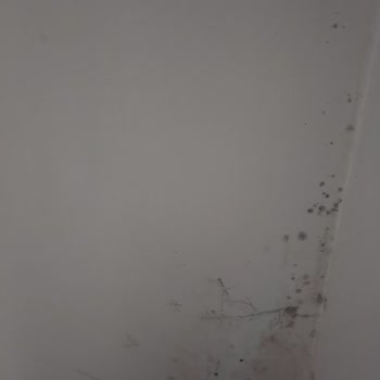 Polisan Boya İle Yaşanan Hayal Kırıklığı