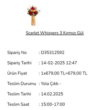Sevgililer Günü Siparişim Teslim Edilmedi, Ücret İadesi Yapılmadı
