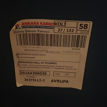 Bernardo Eksik Parçalarla Gelen Hayal Kırıklığı