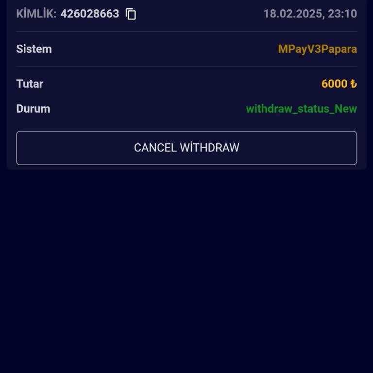 Çekim Talebi Sonrası Para Hesabıma Gelmedi