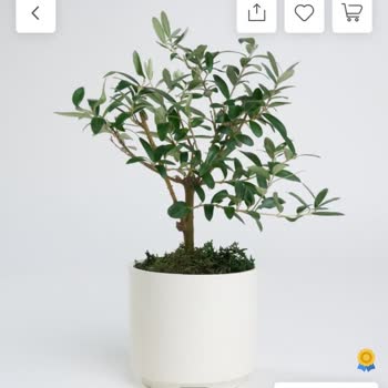 Yanıltıcı Ürün Ve Gecikmeli Teslimat Sorunu