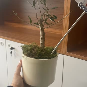 Yanıltıcı Ürün Ve Gecikmeli Teslimat Sorunu