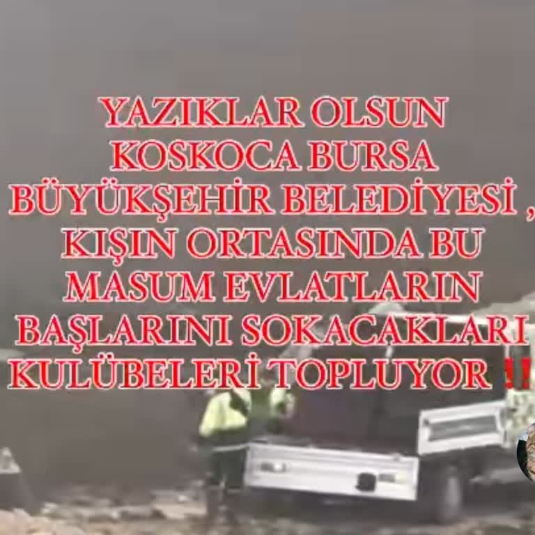 Sokak Hayvanlarına Vefa Borcu