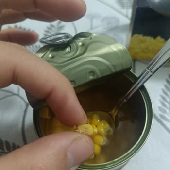 Mısır Konservesinde Böcek Şoku