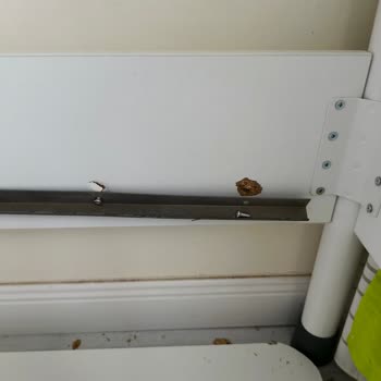 Çilek Mobilya Çocuk Ranzasında Güvenlik Sorunu