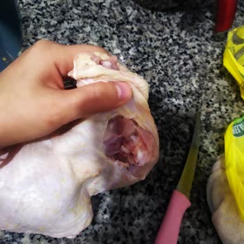 Tavuk Siparişimde Şok Edici Bulgu