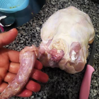 Tavuk Siparişimde Şok Edici Bulgu